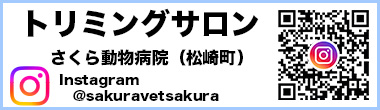 インスタグラム（さくら動物病院）