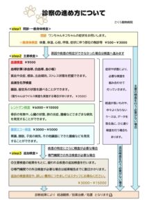 診療の流れ